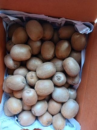 들국화님의 자유주제 · 자유게시판 작성글 사진