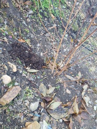 김용대님의 자유주제 · 자유게시판 작성글 사진