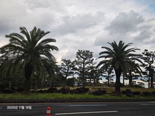 Captain김상곤님의 자유주제 · 자유게시판 작성글 사진