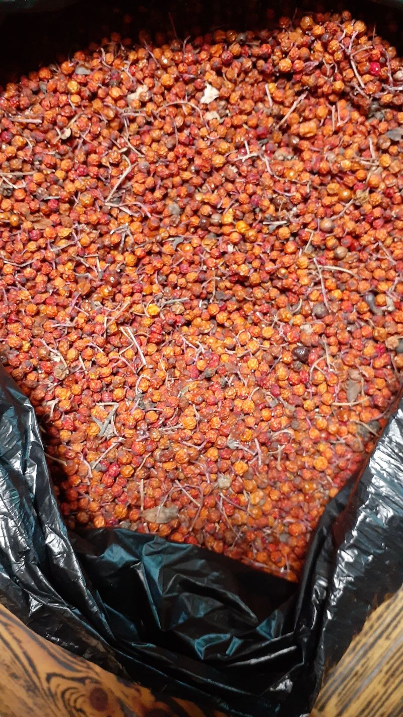 장터 상품 [마과목열매500g] 썸네일