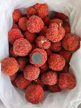 팜모닝 · 게시글 이미지