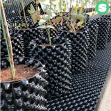 팜모닝 · 게시글 이미지