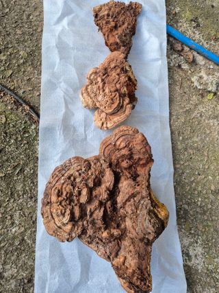 박번삼님의 자유주제 · 자유게시판 작성글 사진