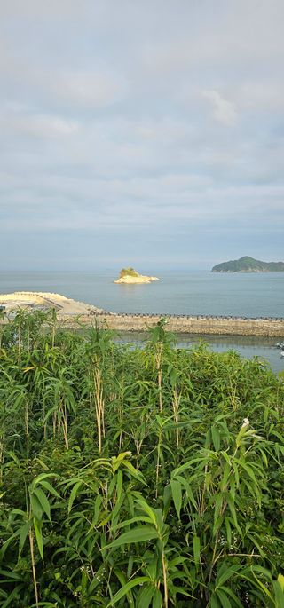 박애경님의 작성글 사진