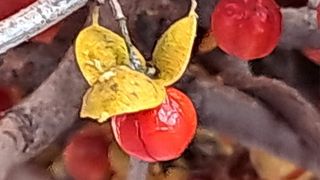 안길원님의 자유주제 · 자유게시판 작성글 사진