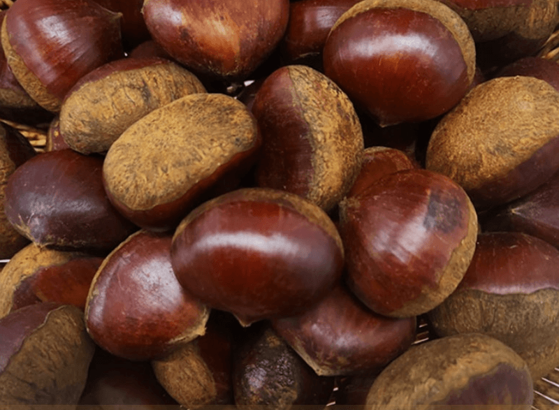 스피드번님의 장터 판매 상품 [(특품/굿뜨레인증) 부여 밤] 첨부 사진