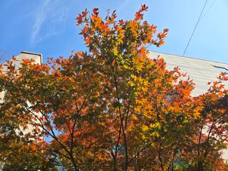 Captain김상곤님의 자유주제 · 자유게시판 작성글 사진