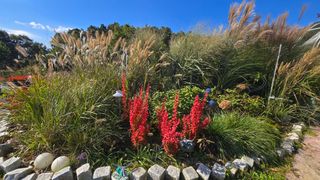 조경가드닝님의 자유주제 · 자유게시판 작성글 사진