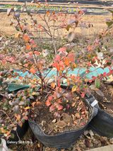 팜모닝 농사, 무엇이든 물어보세요!·참여글 게시글 이미지