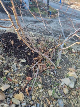 김용대님의 자유주제 · 자유게시판 작성글 사진