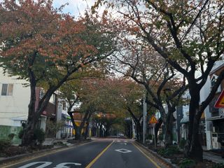 Captain김상곤님의 자유주제 · 자유게시판 작성글 사진