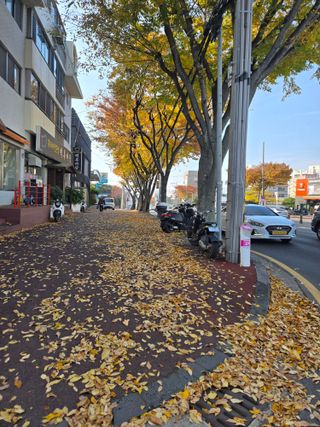 Captain김상곤님의 자유주제 · 자유게시판 작성글 사진