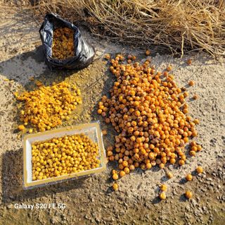 정찬영님의 자유주제 · 자유게시판 작성글 사진