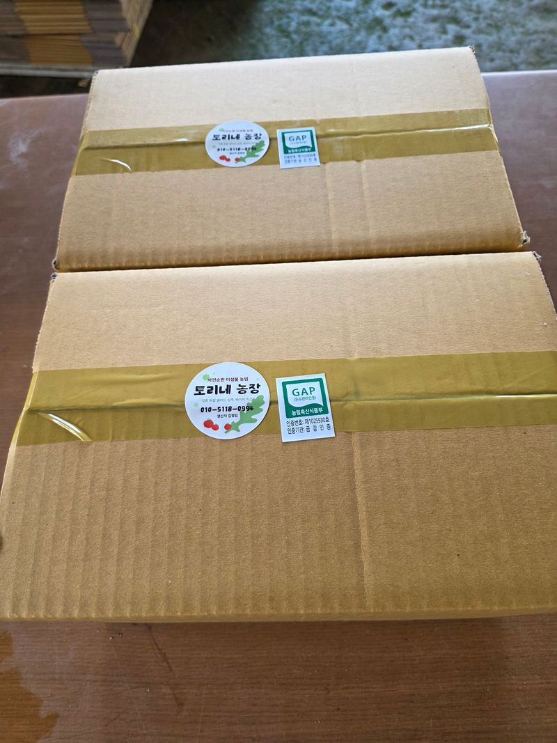 김정임님의 장터 판매 상품 [유럽샐러드상추] 첨부 사진