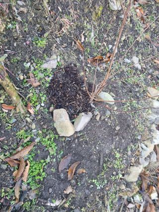 김용대님의 자유주제 · 자유게시판 작성글 사진