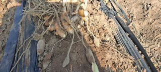 장준재님의 자유주제 · 자유게시판 작성글 사진