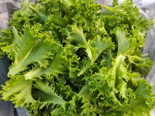 프롬밭님의 자유주제 · 자유게시판 작성글 사진