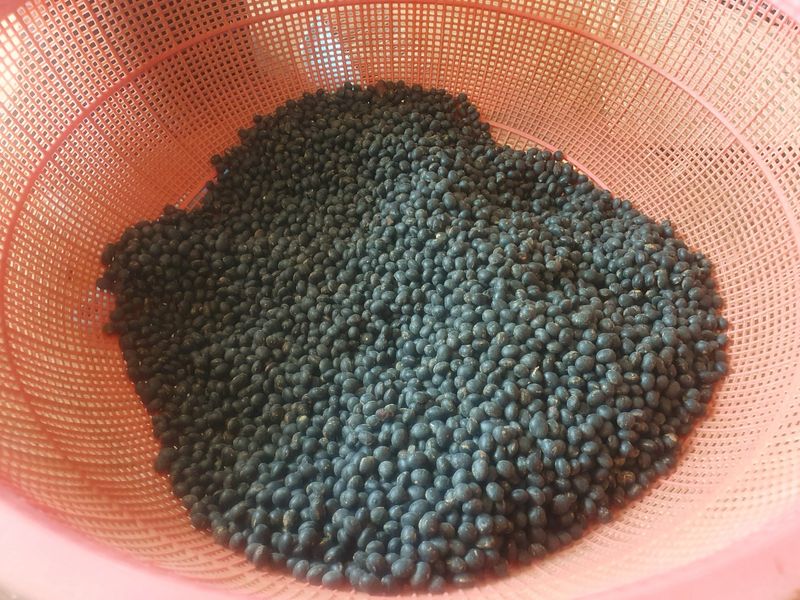 남궁호님의 장터 판매 상품 [2025산 속청(새바람) 서리태 ] 첨부 사진