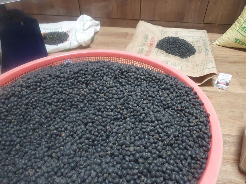 남궁호님의 장터 판매 상품 [2025산 속청(새바람) 서리태 ] 첨부 사진