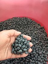 팜모닝 자유주제·자유게시판 게시글 이미지