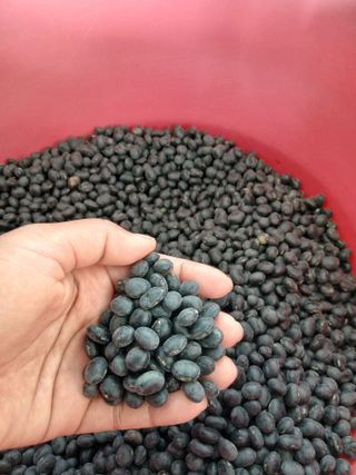 SARIFUDIN YASINTA MARYAMA님의 자유주제 · 자유게시판 작성글 사진