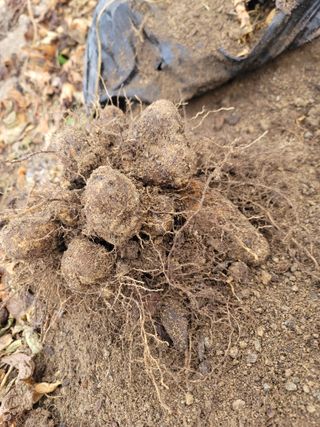 박치문님의 자유주제 · 자유게시판 작성글 사진