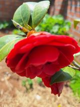 팜모닝 · 게시글 이미지