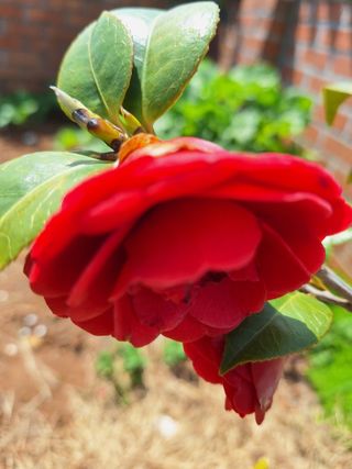 김은숙님의 작성글 사진