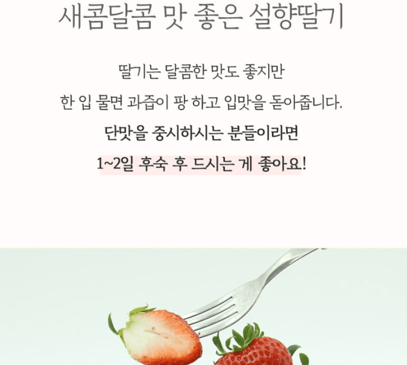 스피드번님의 장터 판매 상품 [논산 설향딸기] 첨부 사진