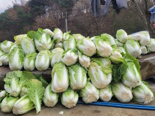 이명규님의 자유주제 · 자유게시판 작성글 사진