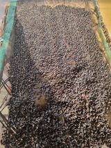 팜모닝 · 게시글 이미지