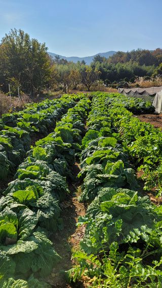 권리를위한투쟁님의 자유주제 · 자유게시판 작성글 사진