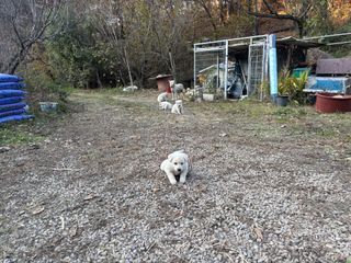 산희농원님의 자유주제 · 자유게시판 작성글 사진