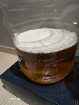 안종※님의 자유주제 · 자유게시판 작성글 사진