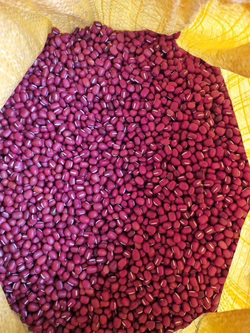 장터 상품 [25년도 팥] 썸네일