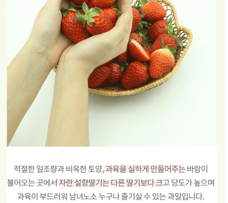스피드번님의 장터 판매 상품 [논산 설향딸기] 첨부 사진