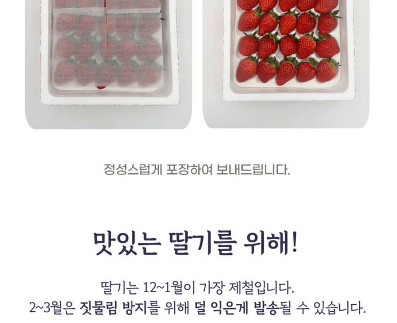 스피드번님의 장터 판매 상품 [논산 설향딸기] 첨부 사진