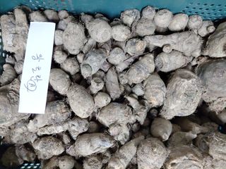 정보센터님의 작성글 사진