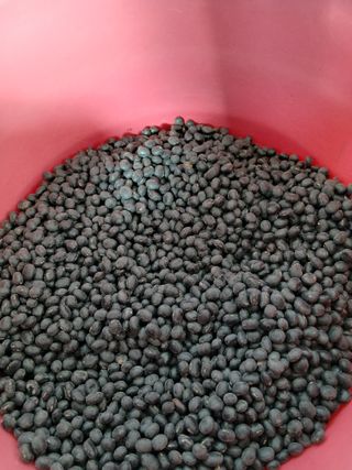 SARIFUDIN YASINTA MARYAMA님의 자유주제 · 자유게시판 작성글 사진