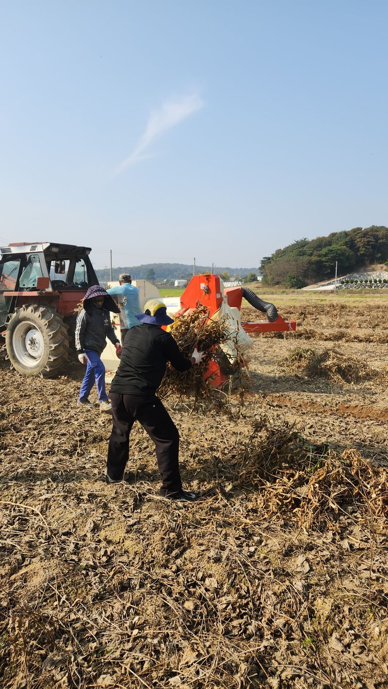 한정수님의 장터 판매 상품 [25년산 서리태] 첨부 사진