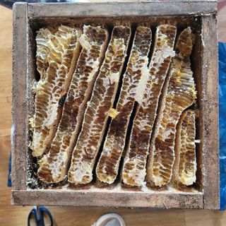 원인호님의 작성글 사진