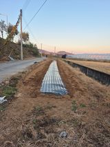 팜모닝 자유주제·자유게시판 게시글 이미지