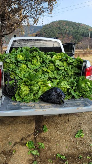 권리를위한투쟁님의 자유주제 · 자유게시판 작성글 사진