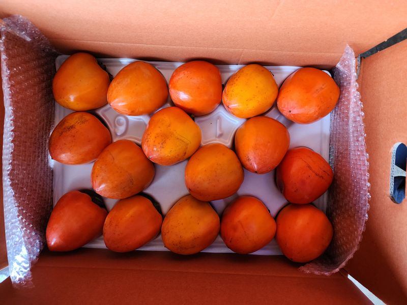 장터 상품 [악양 대봉감 10kg] 썸네일