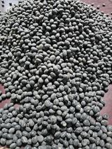 팜모닝 자유주제·자유게시판 게시글 이미지