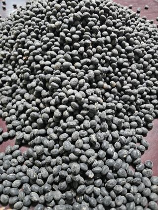 백용기님의 자유주제 · 자유게시판 작성글 사진