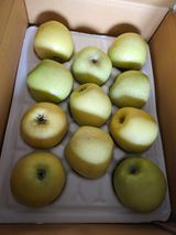 팜모닝 자유주제·자유게시판 게시글 이미지