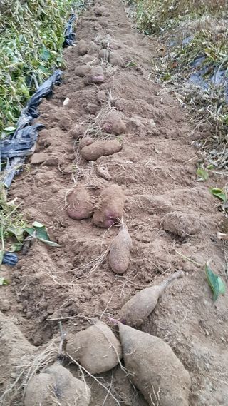 정보센터님의 작성글 사진