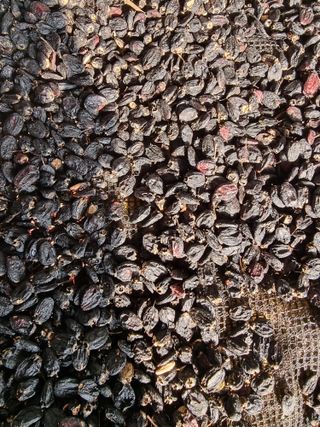 정석범님의 작성글 사진