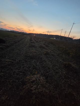 희찬모(정정자)님의 자유주제 · 자유게시판 작성글 사진